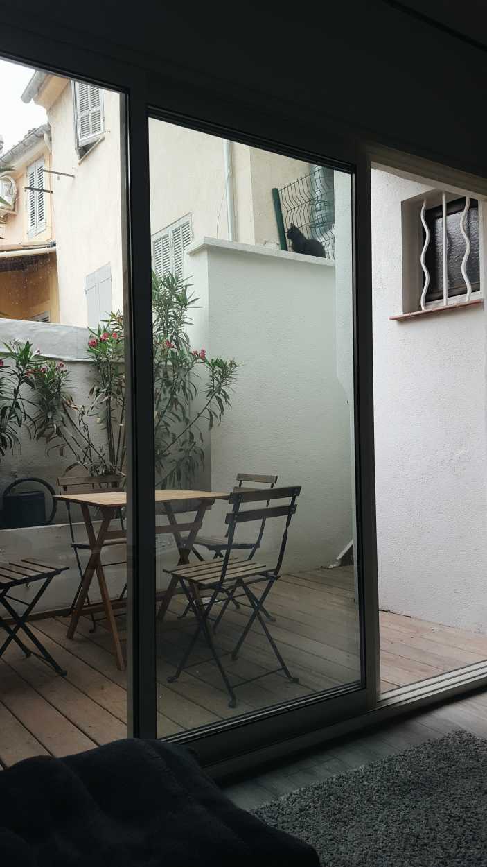 A cat seen on a ledge in Aix-en-Provence