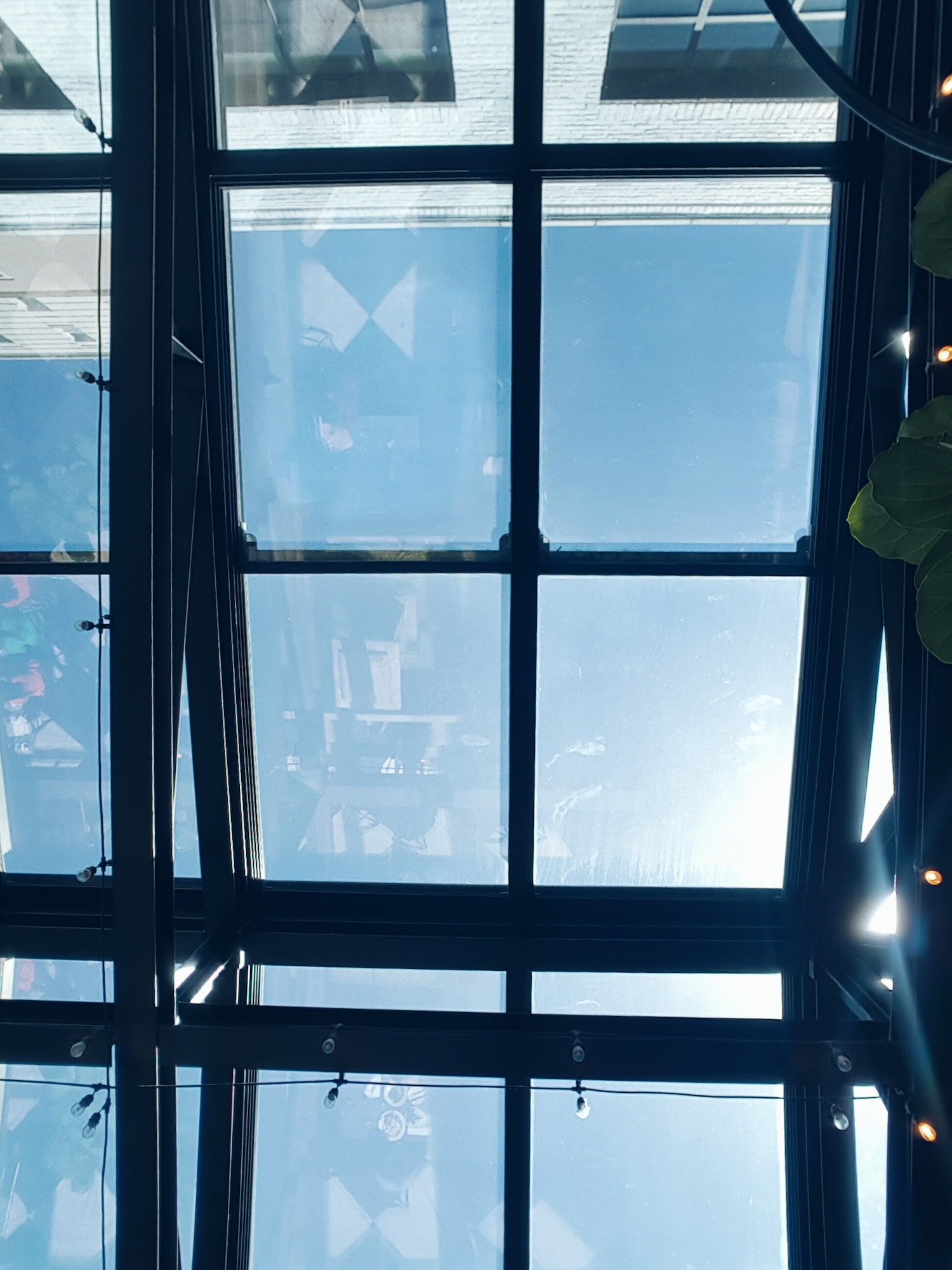 A skylight at Oxford Exchange