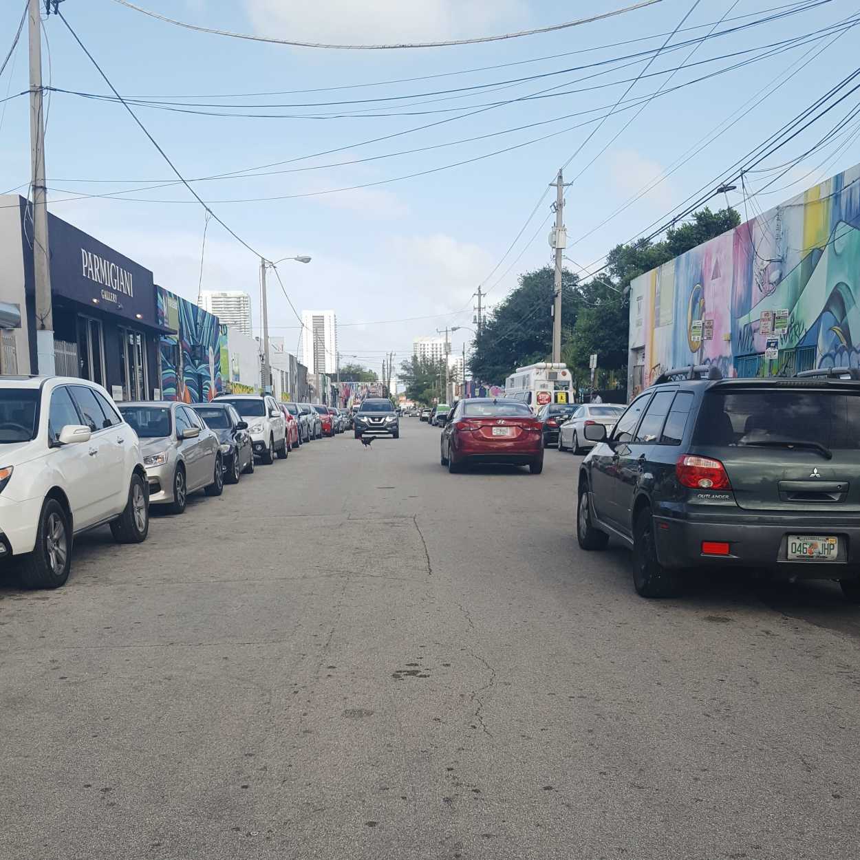 A chicken crossing the street in Wynwood