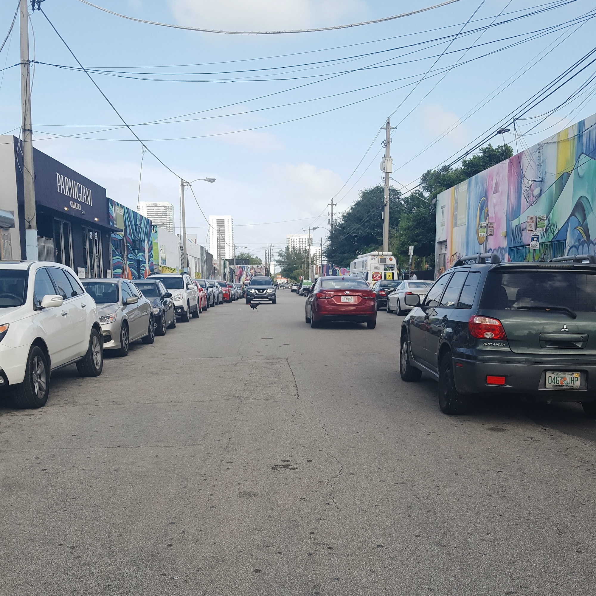 A view down a street in Wynwood, and a chicken is running in front of a car
