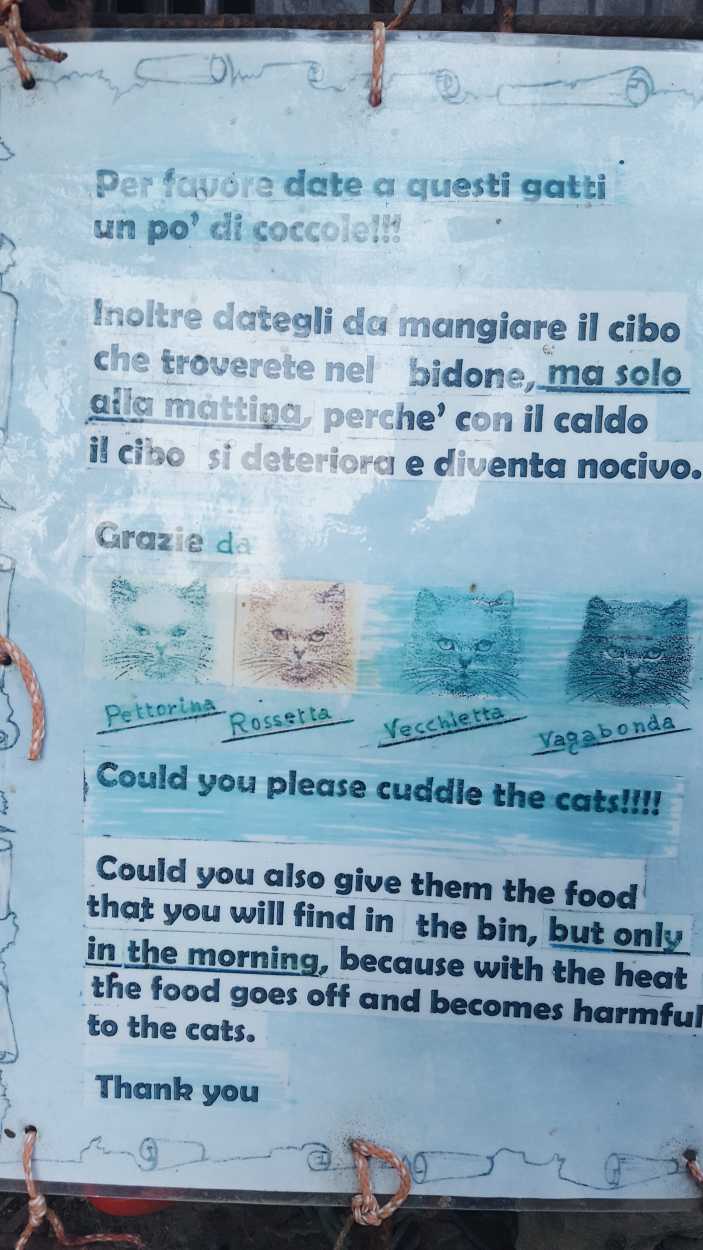 a sign that reads "could you please cuddle the cats"