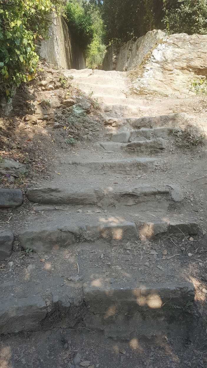 rickety stairs at the start of the hike