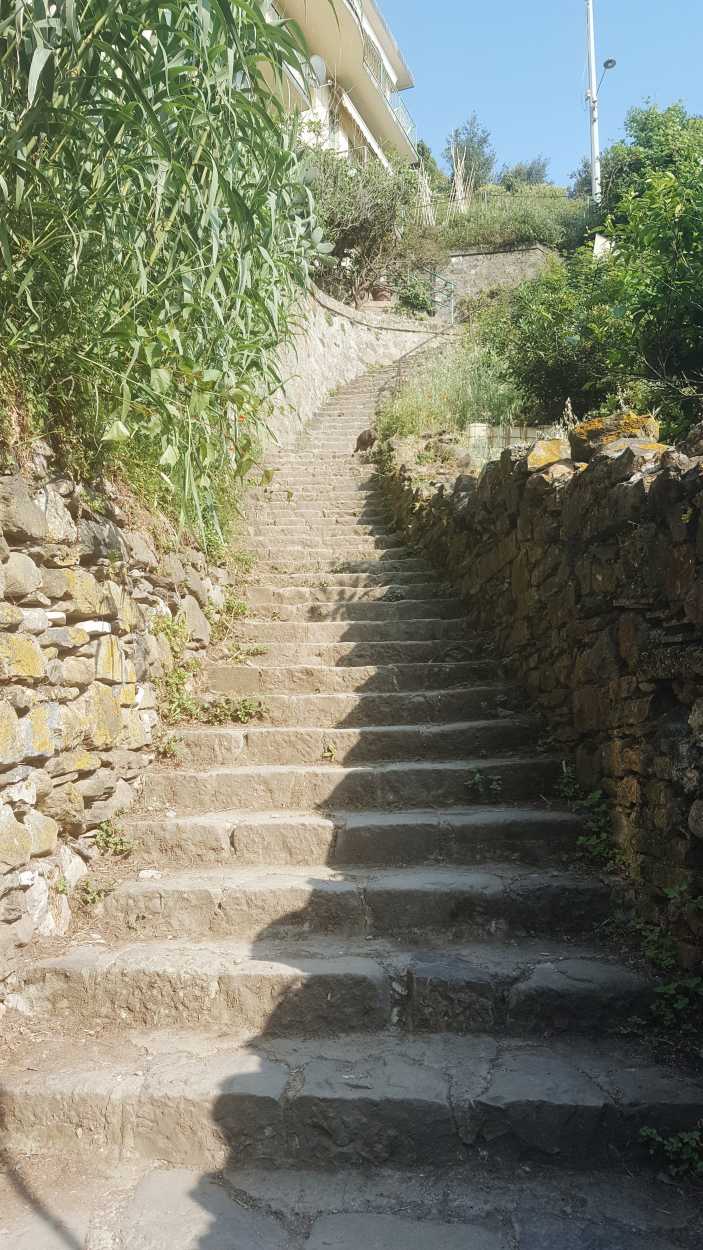 A large set of stairs at the start of the hike