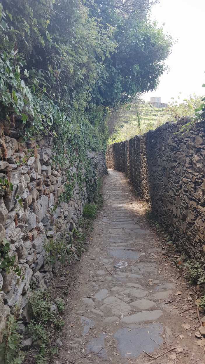 A narrow trail with a stone wall