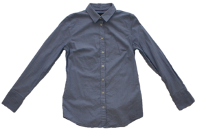 A blue button down shirt from Banana Republic