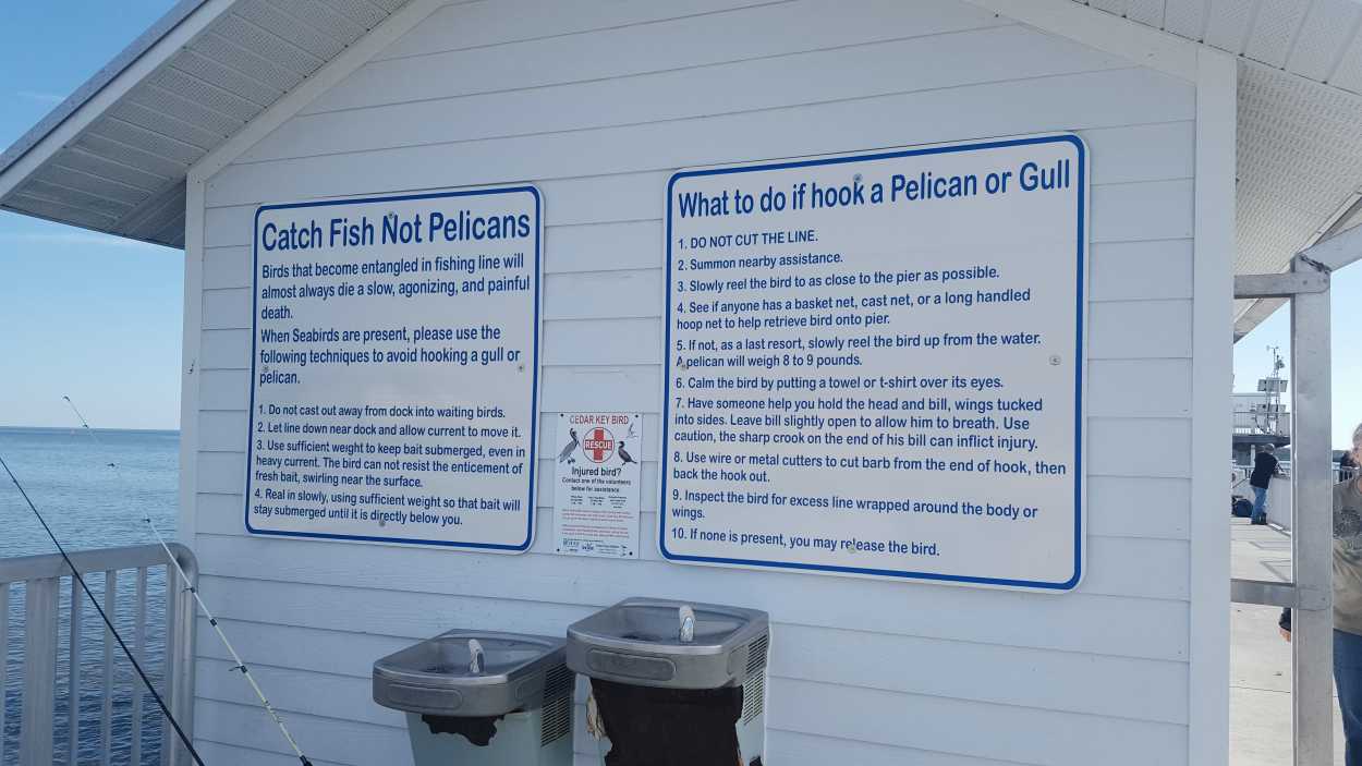 Cedar Key Pier Rules