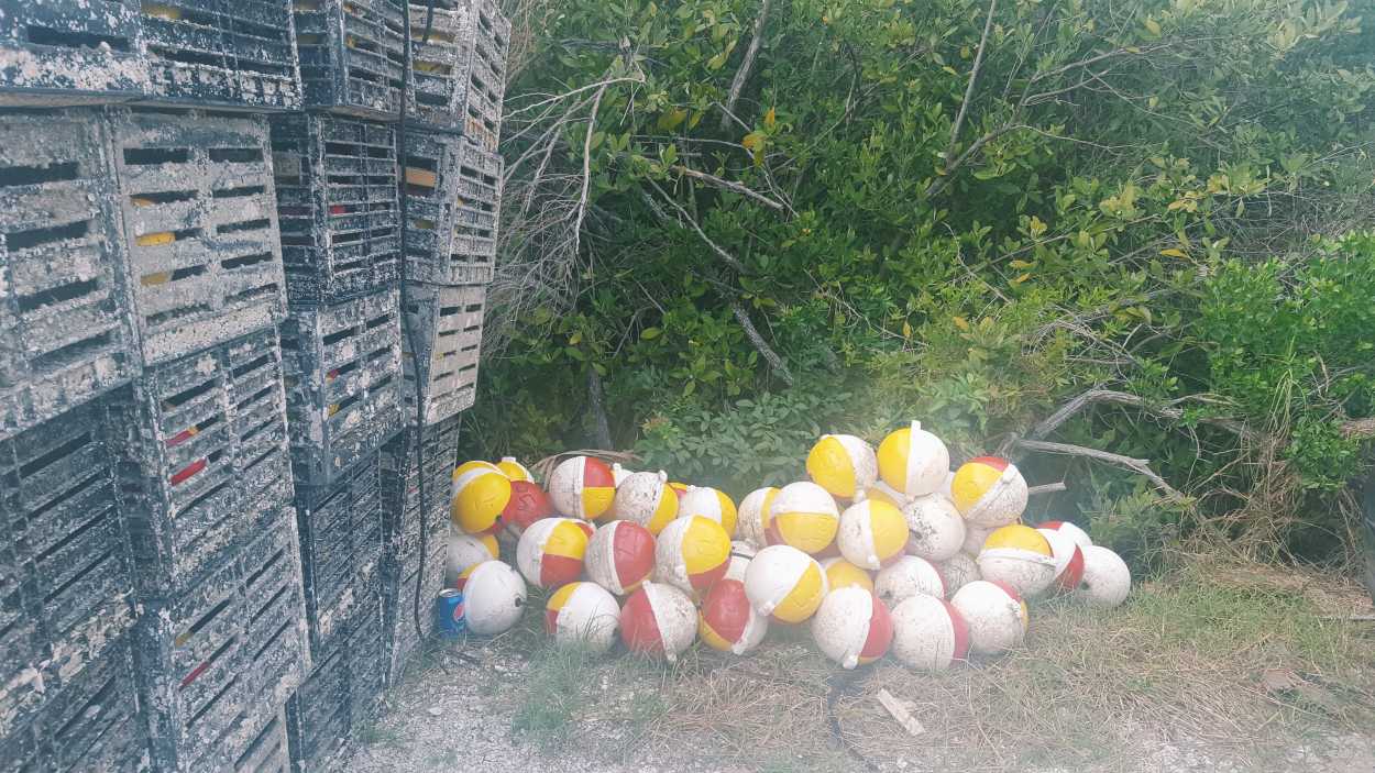 Buoys on the roadside in Cedar Key