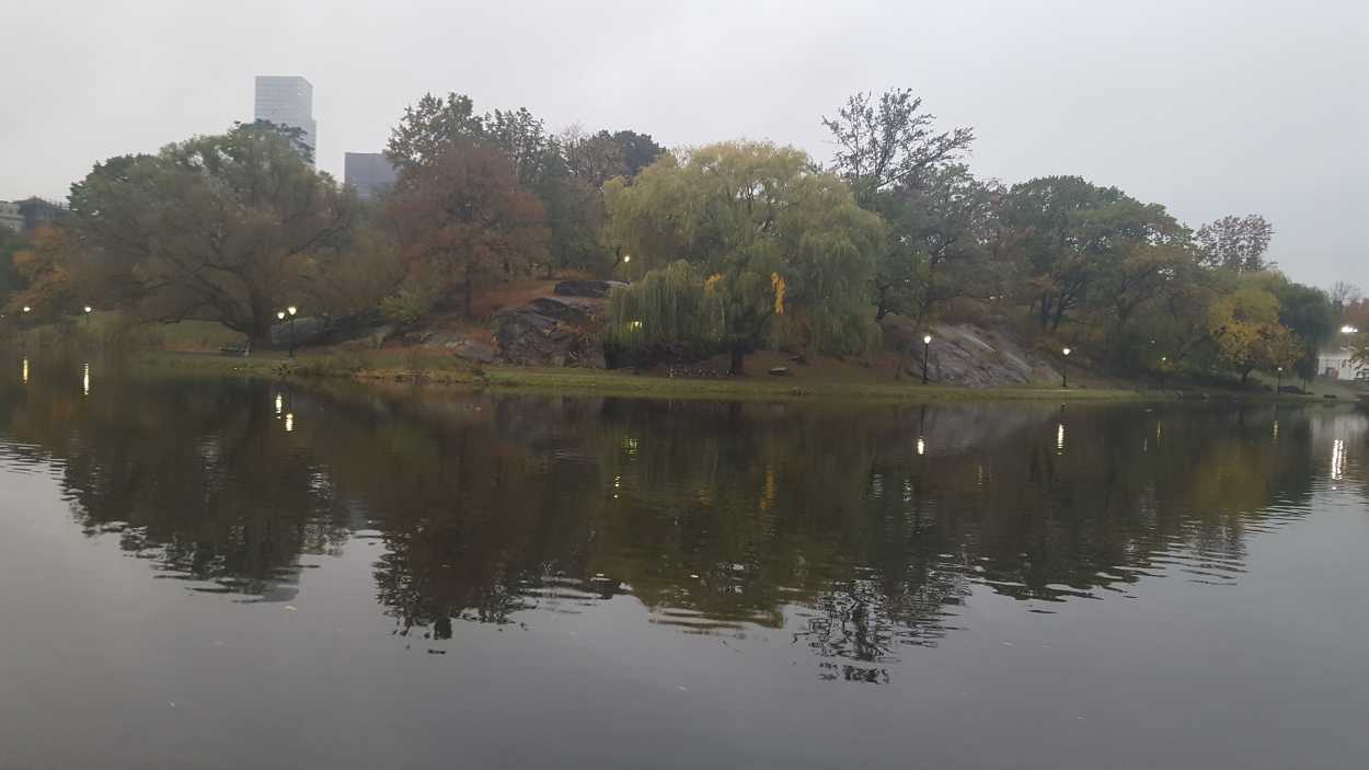 The lake in Central Park