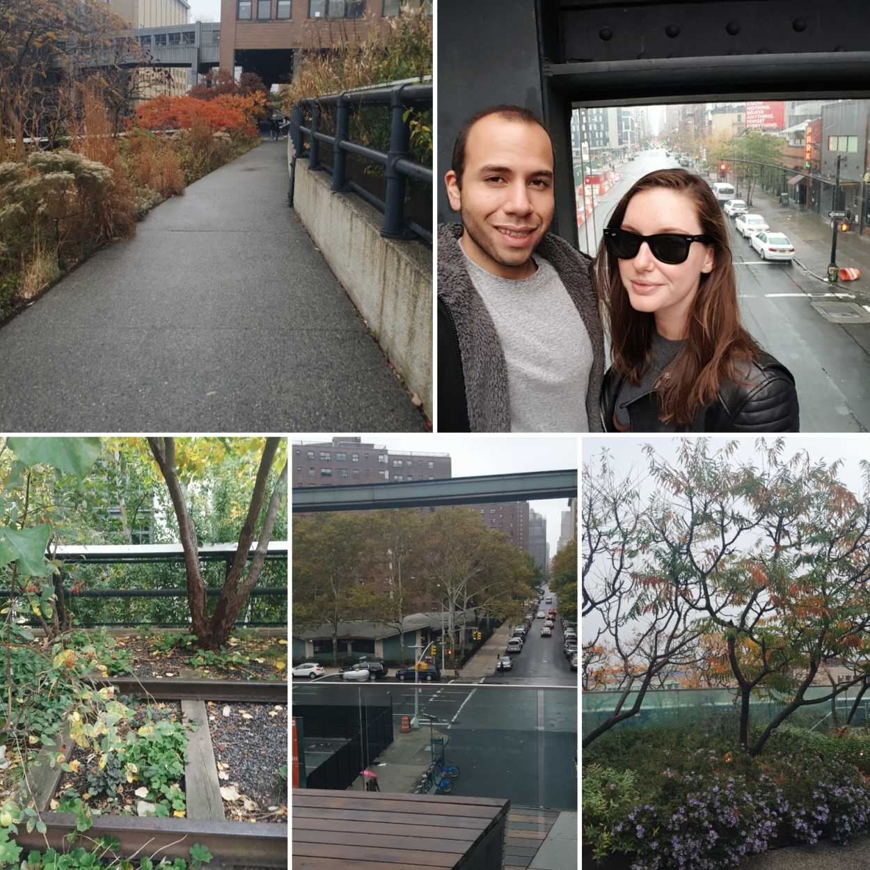 Collage of images taken on the High Line