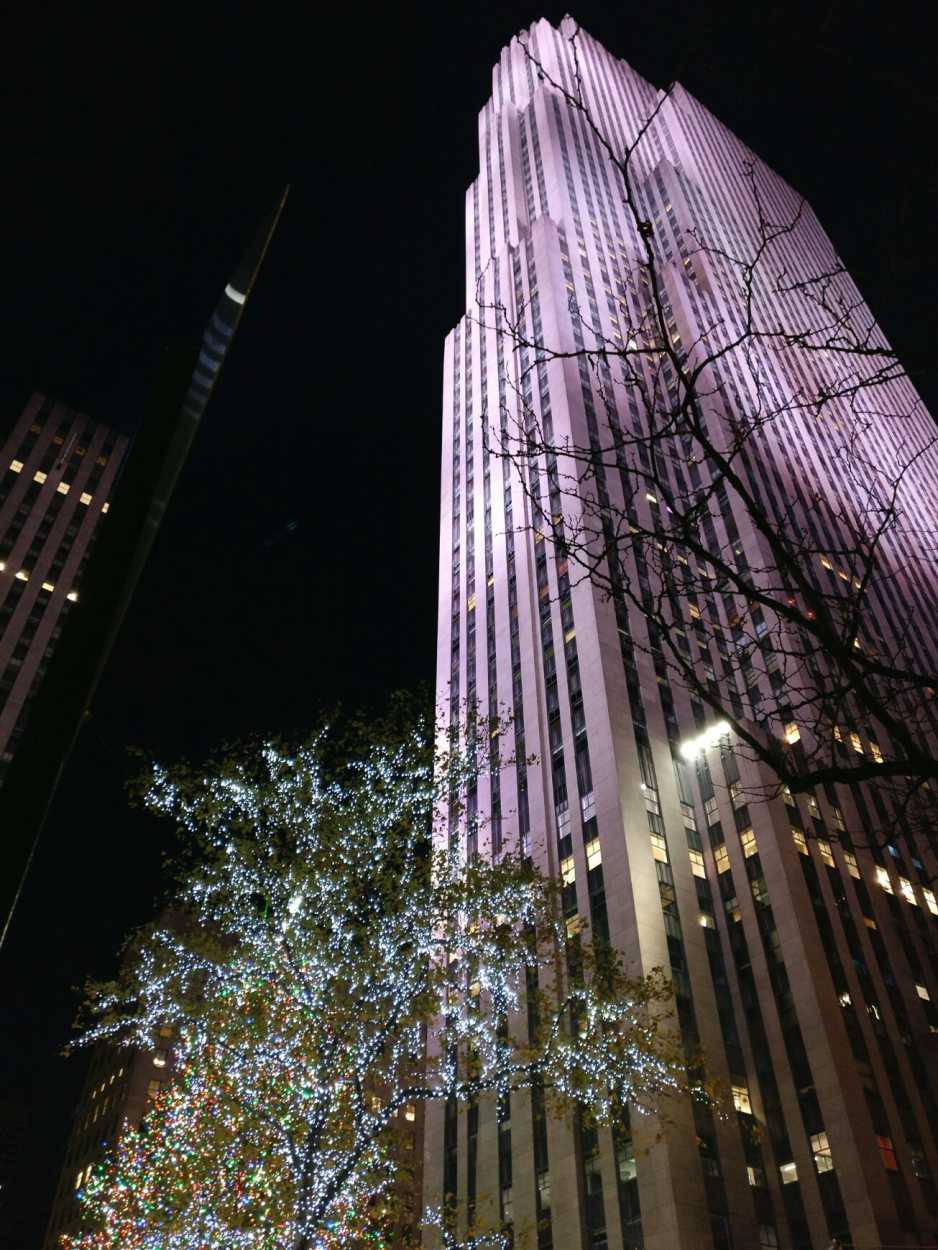 A large building in NYC, in the foreground is a tree with twinkling lights