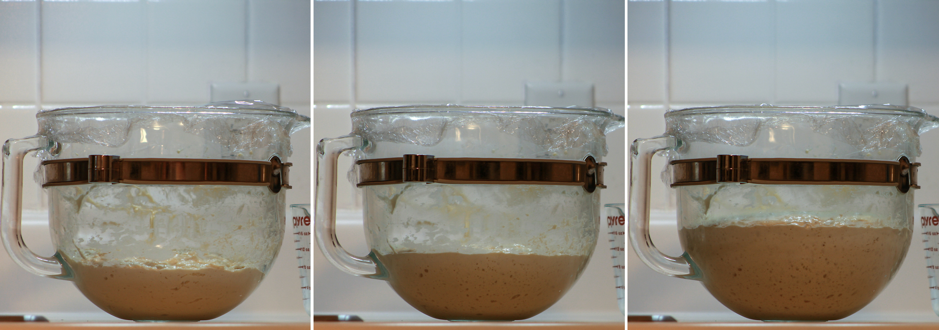 Three photos of a bagel sponge rising in a glass mixing bowl