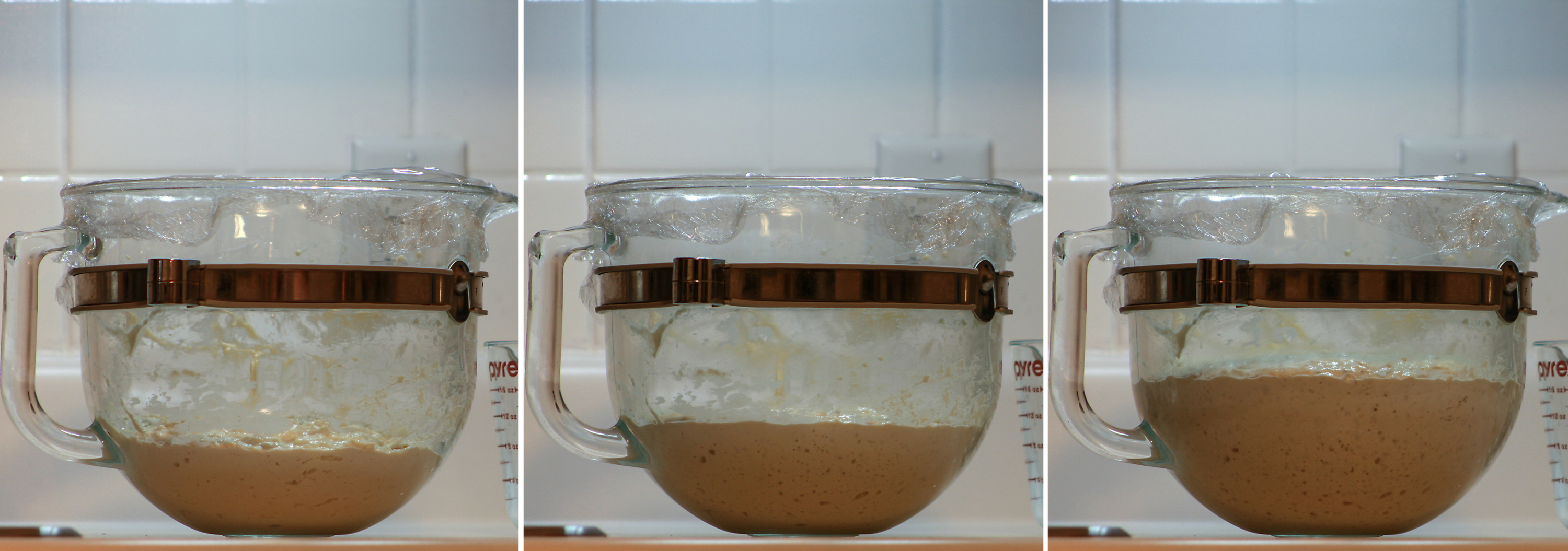 bagel dough sponge rise Three photos of a bagel sponge rising in a glass mixing bowl