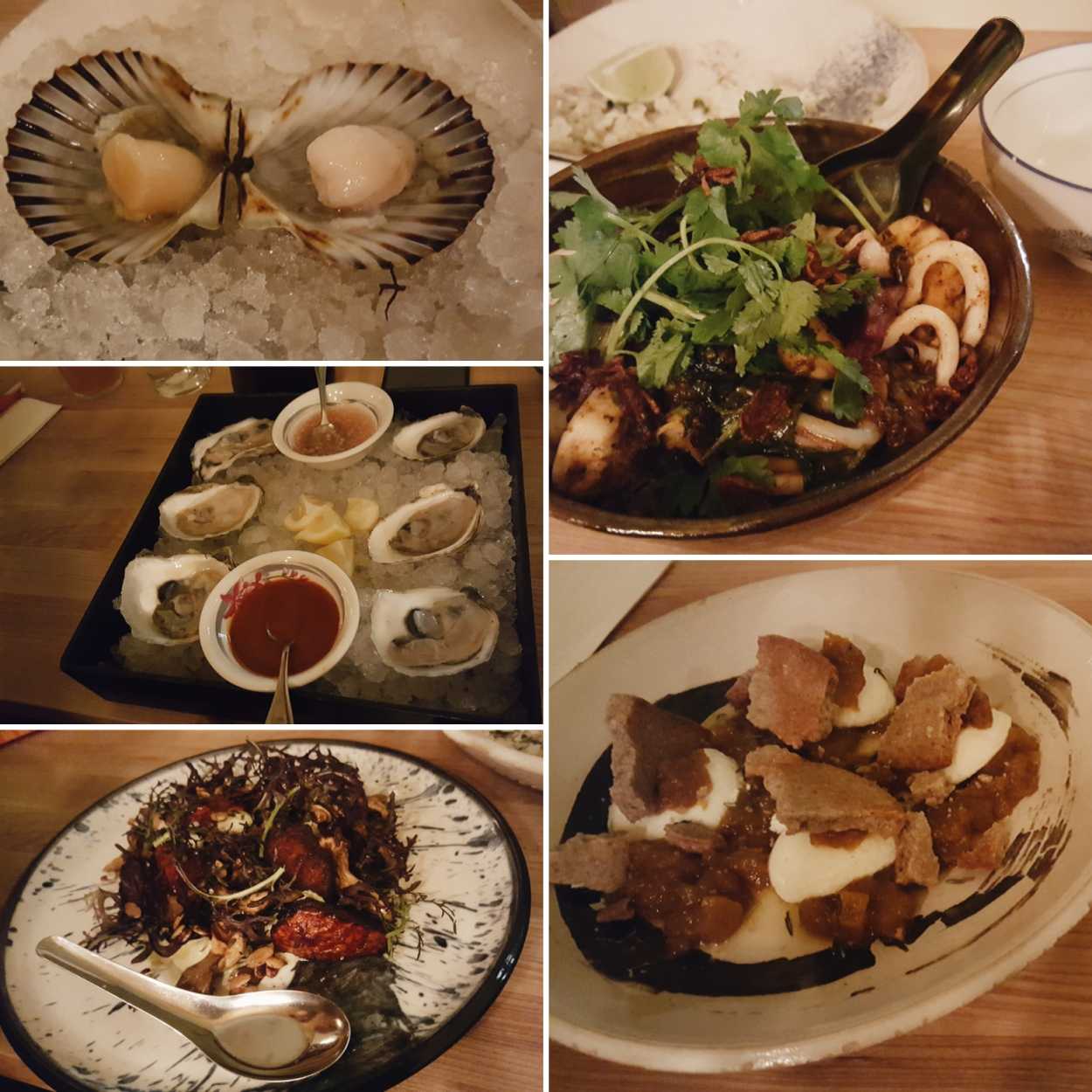 Collage of oysters and other dishes ordered at food by north in Providence