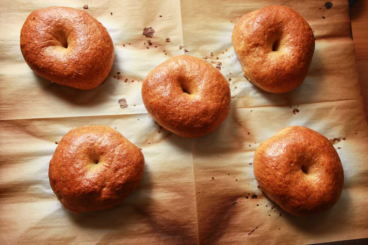 five freshly baked homemade bagels