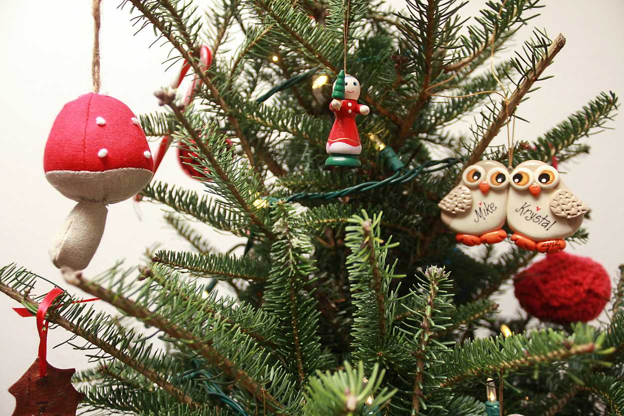 A Christmas Tree with personalized ornaments