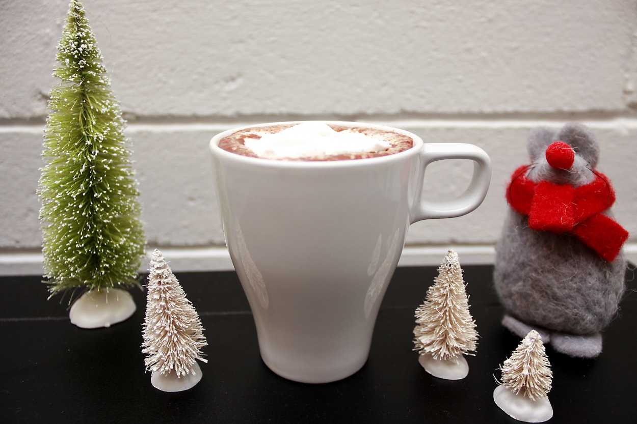 a mug of hot cocoa surrounded by Christmas decorations