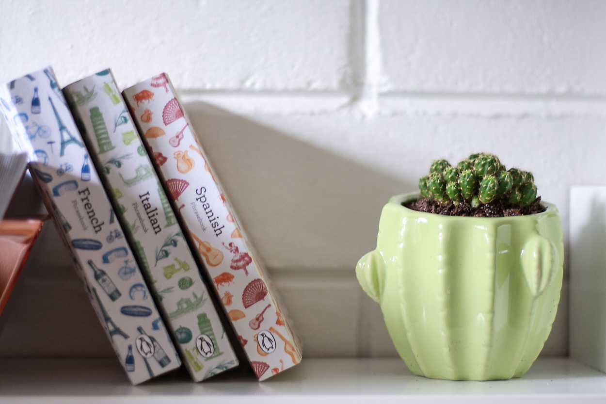 french italian spanish phrase books sit next to cactus