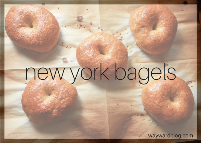 A cover image that reads "new york bagels"