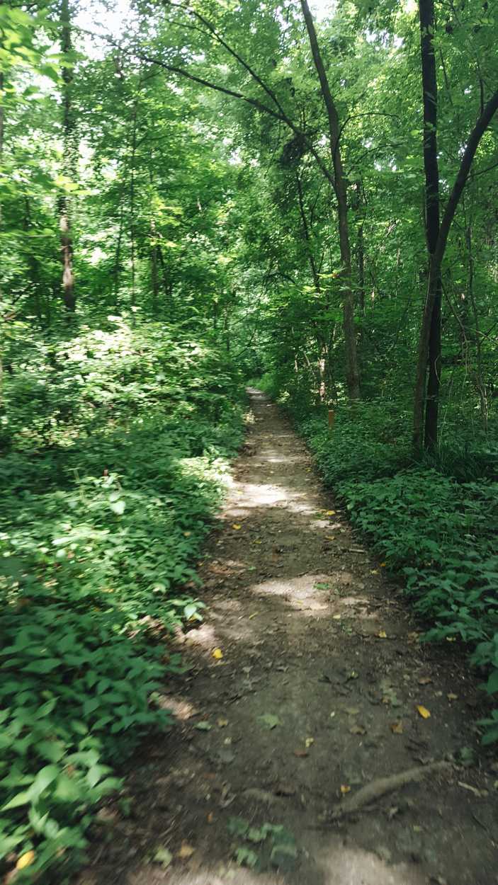 Overton Park trail in Memphis