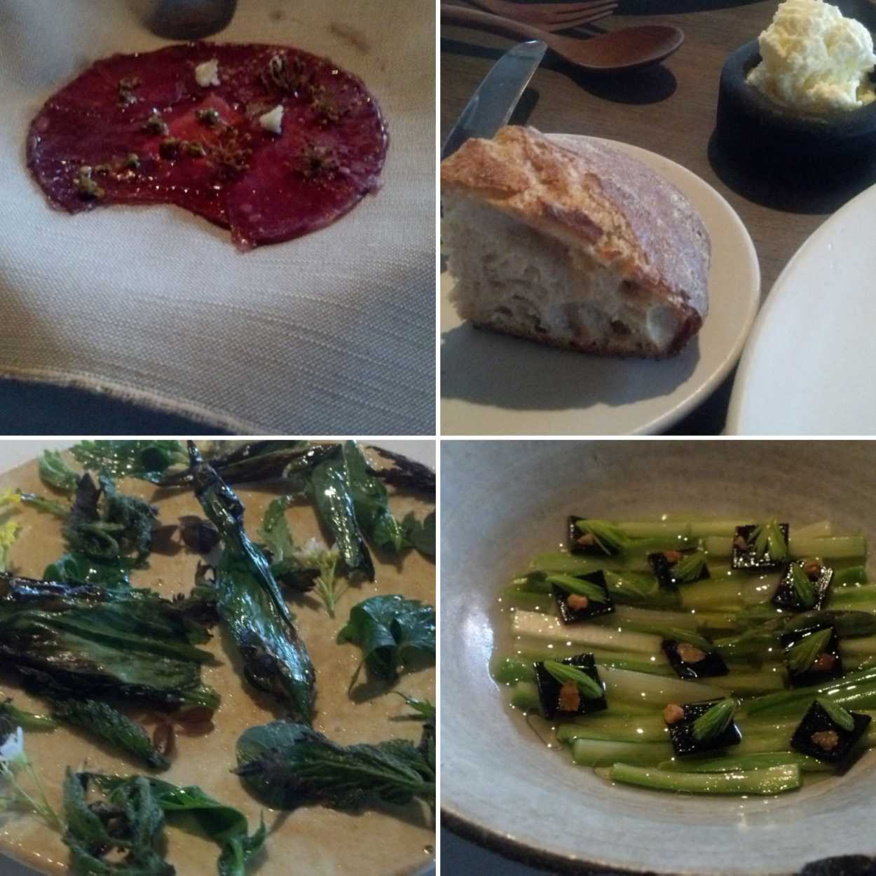 Photos of the first four dishes at noma