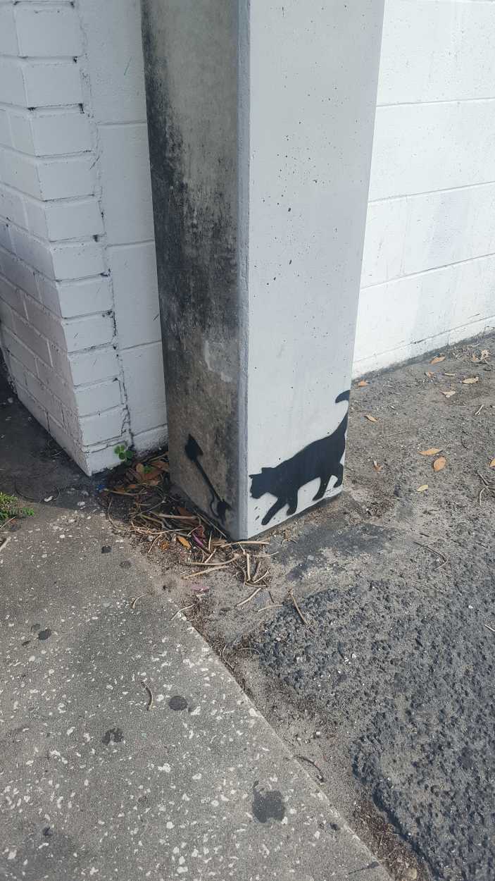 Art outside of Etoile Boutique in Orlando of a cat