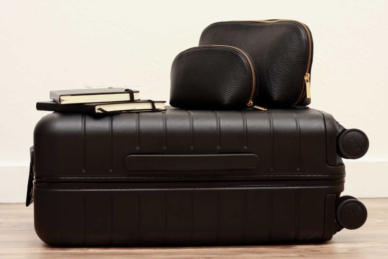 cuyana travel case