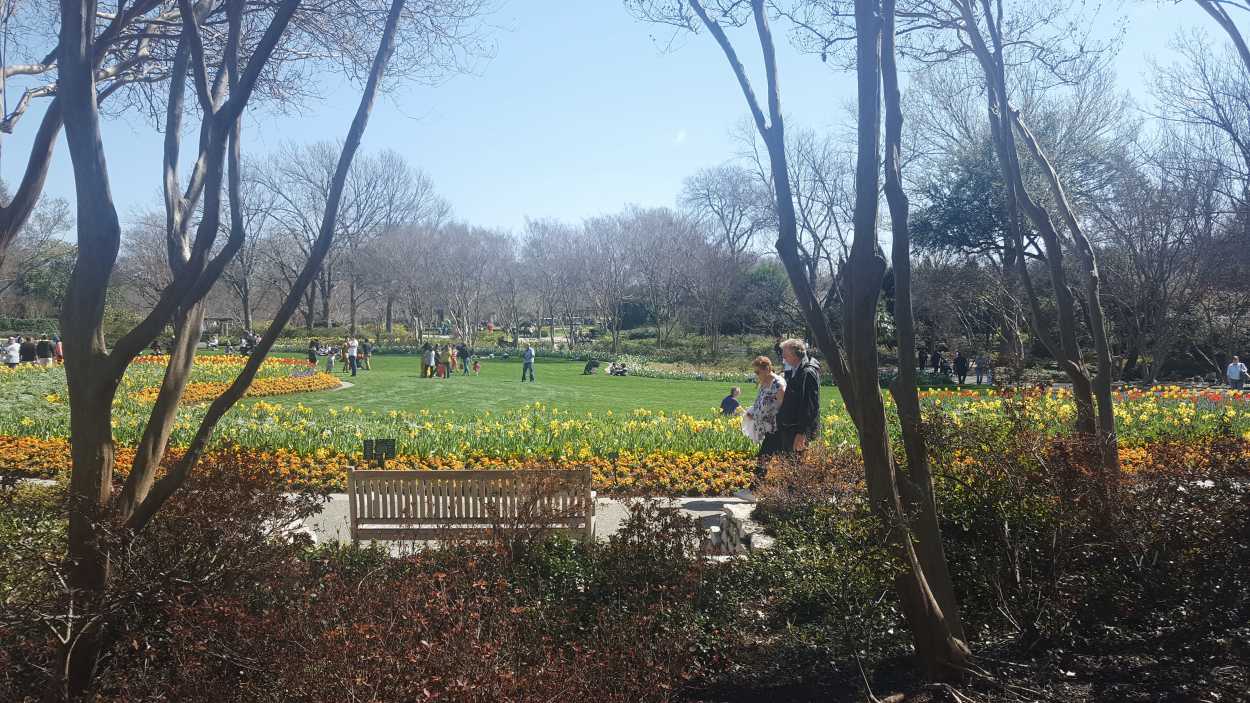 People walk through the gardens at Dallas Arboretum