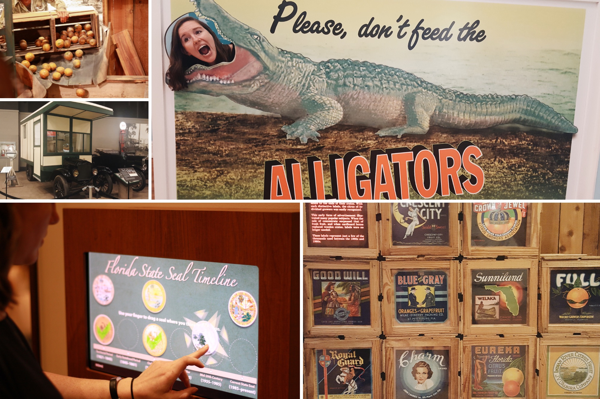 A collage of images taken at the Florida History Museum
