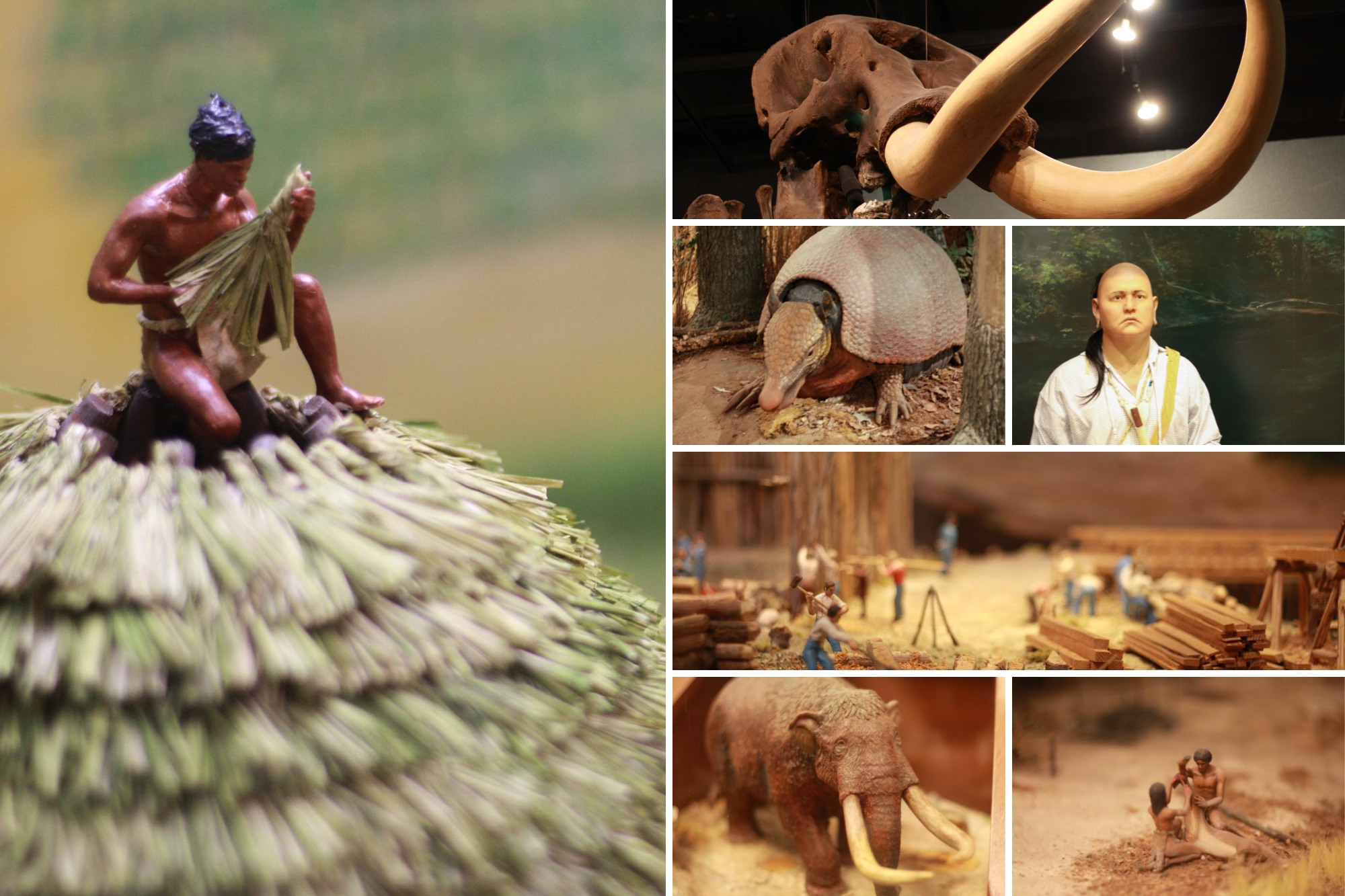 A collage of exhibits at the Florida History Museum