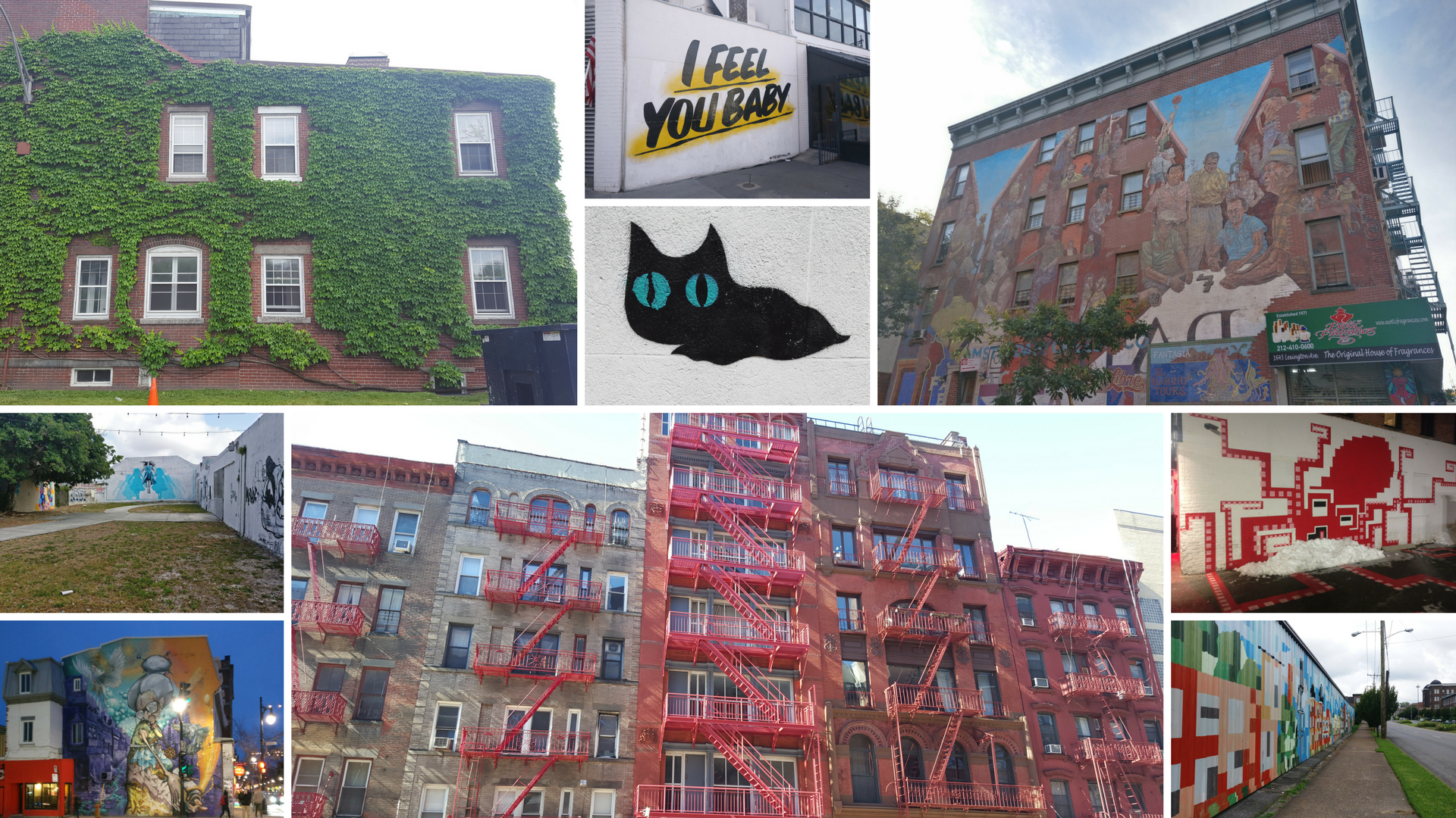 A collage of street art and unique buildings