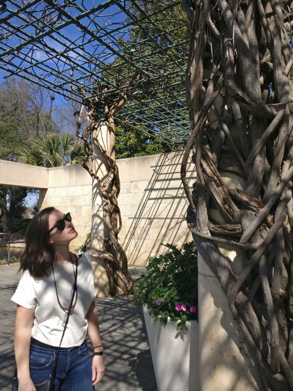 Alyssa looks at plants at the Dallas Arboretum