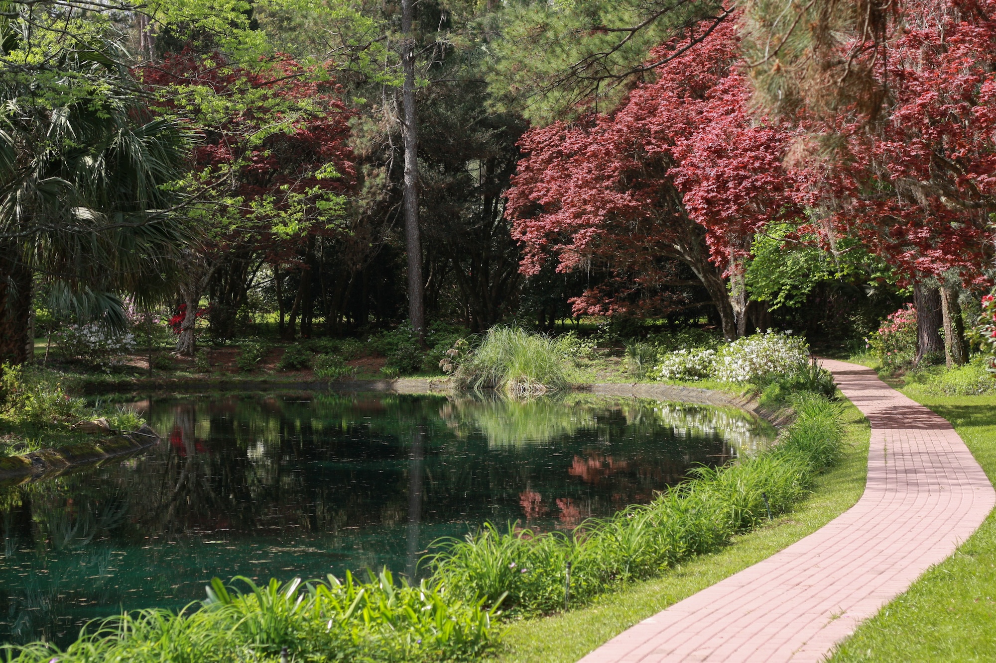 A flower and tree-lined path at Maclay Gardens
