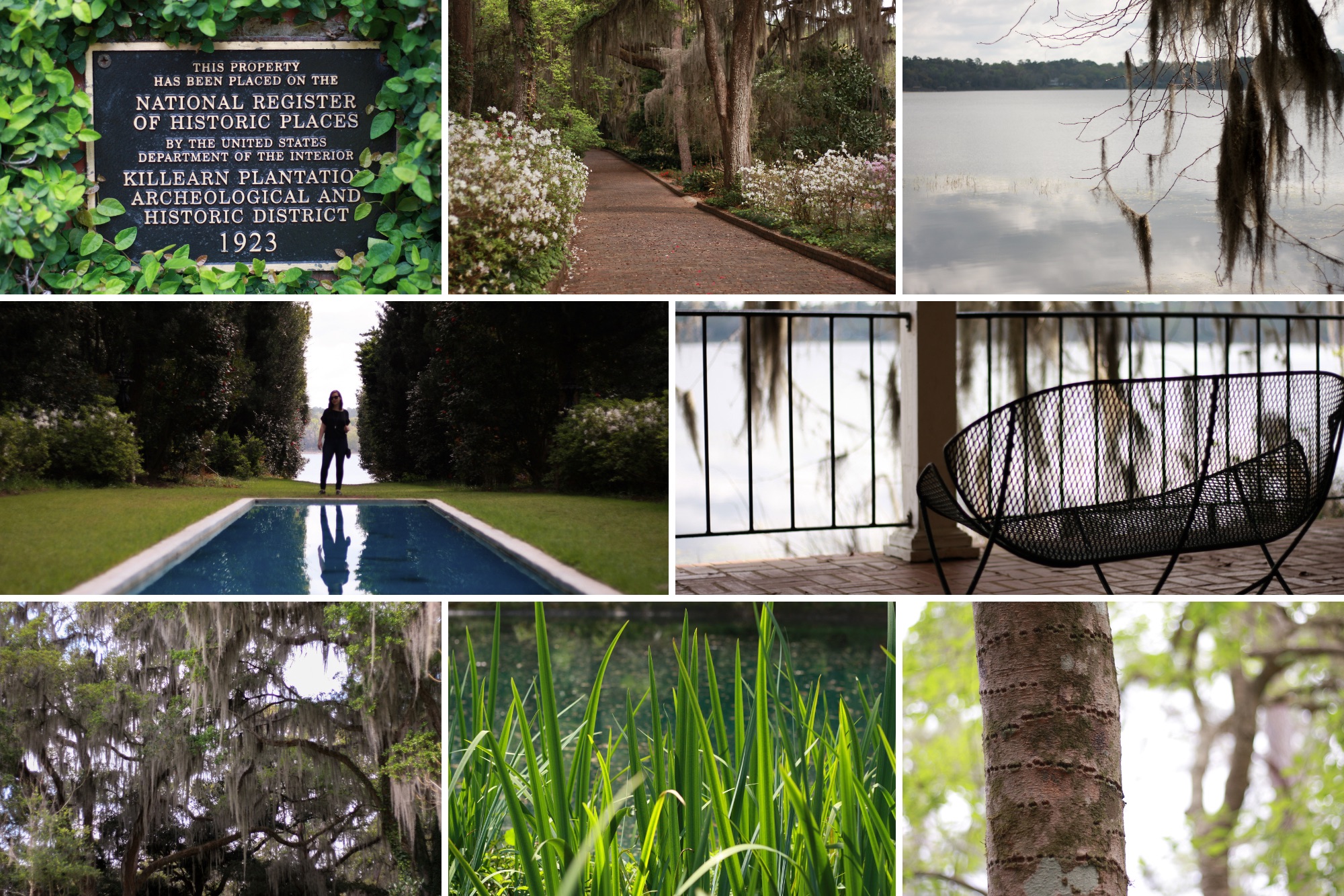 Collage of images taken at Maclay Gardens State Park in Florida
