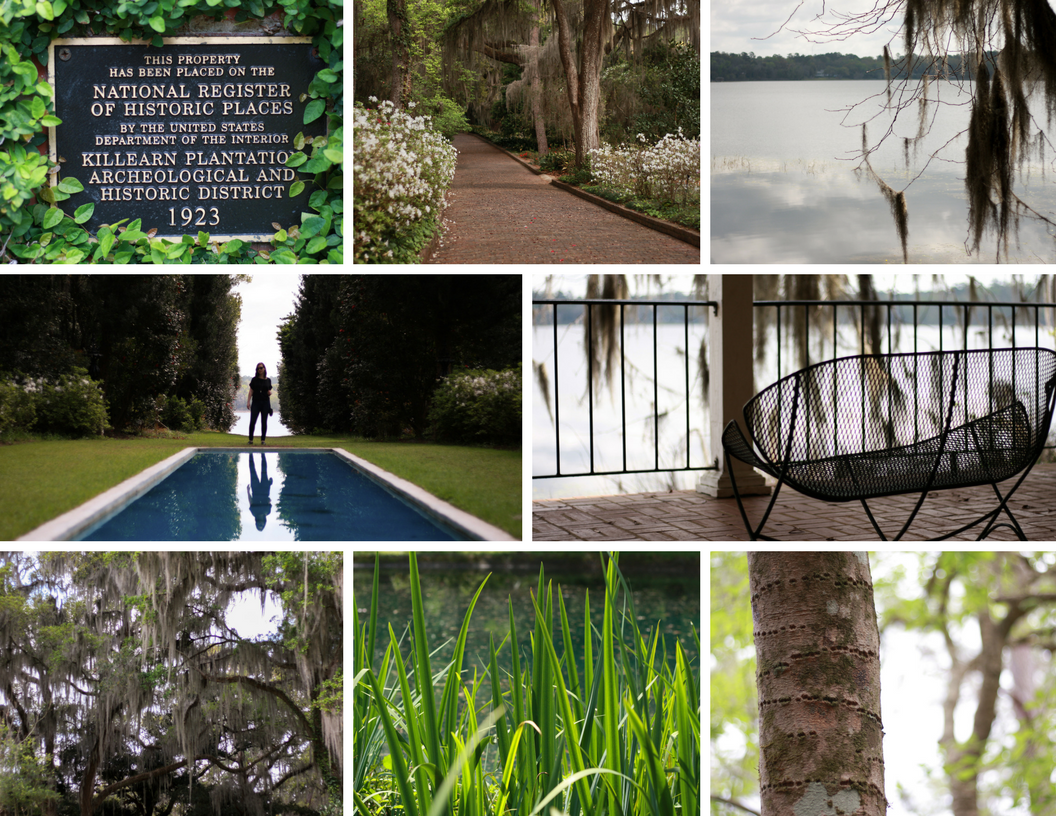 Collage of images taken at Maclay Gardens State Park in Florida