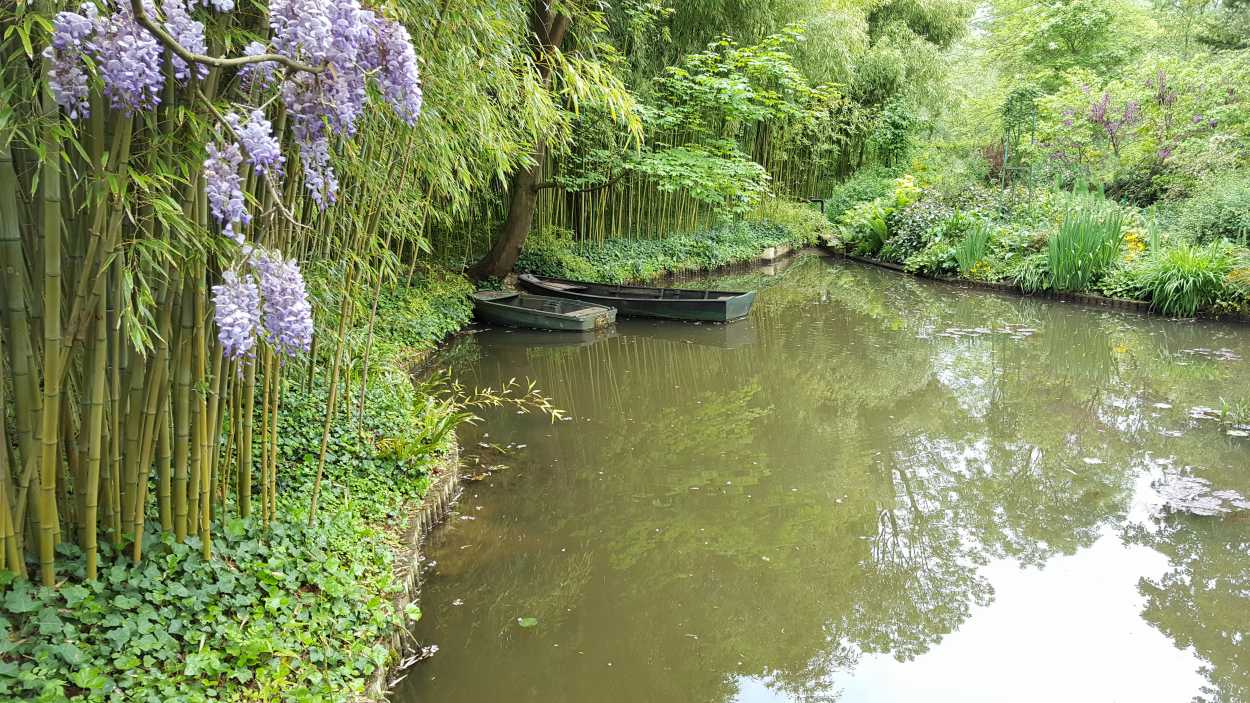 Boats float in a pond at Giverny