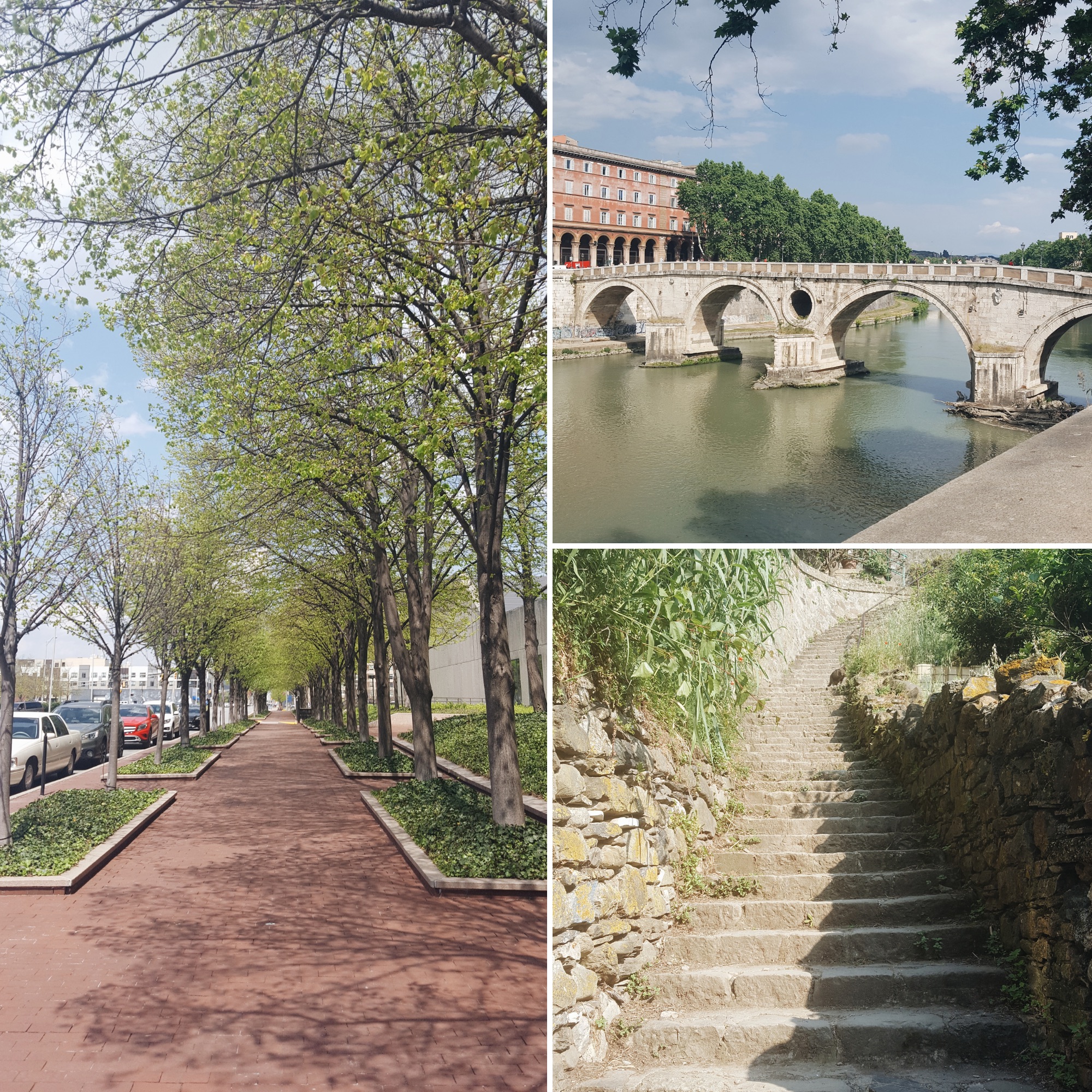 Images of pathways in the US and Italy