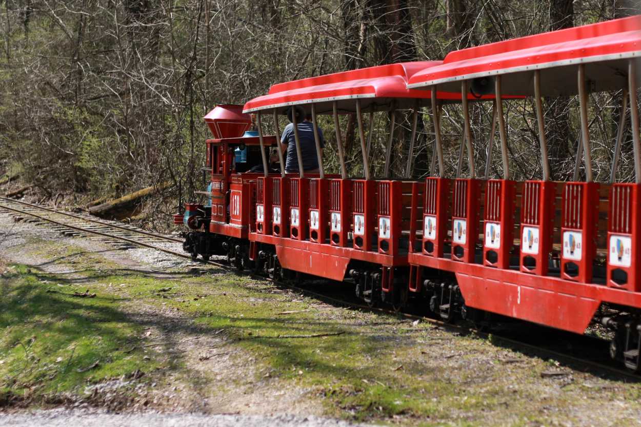 A small red train runs on tracks at the zoo