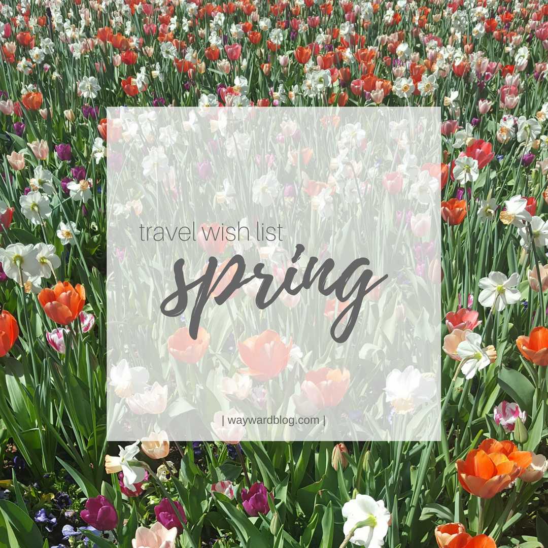 A field of flowers with text overlay that reads "travel wish list spring"
