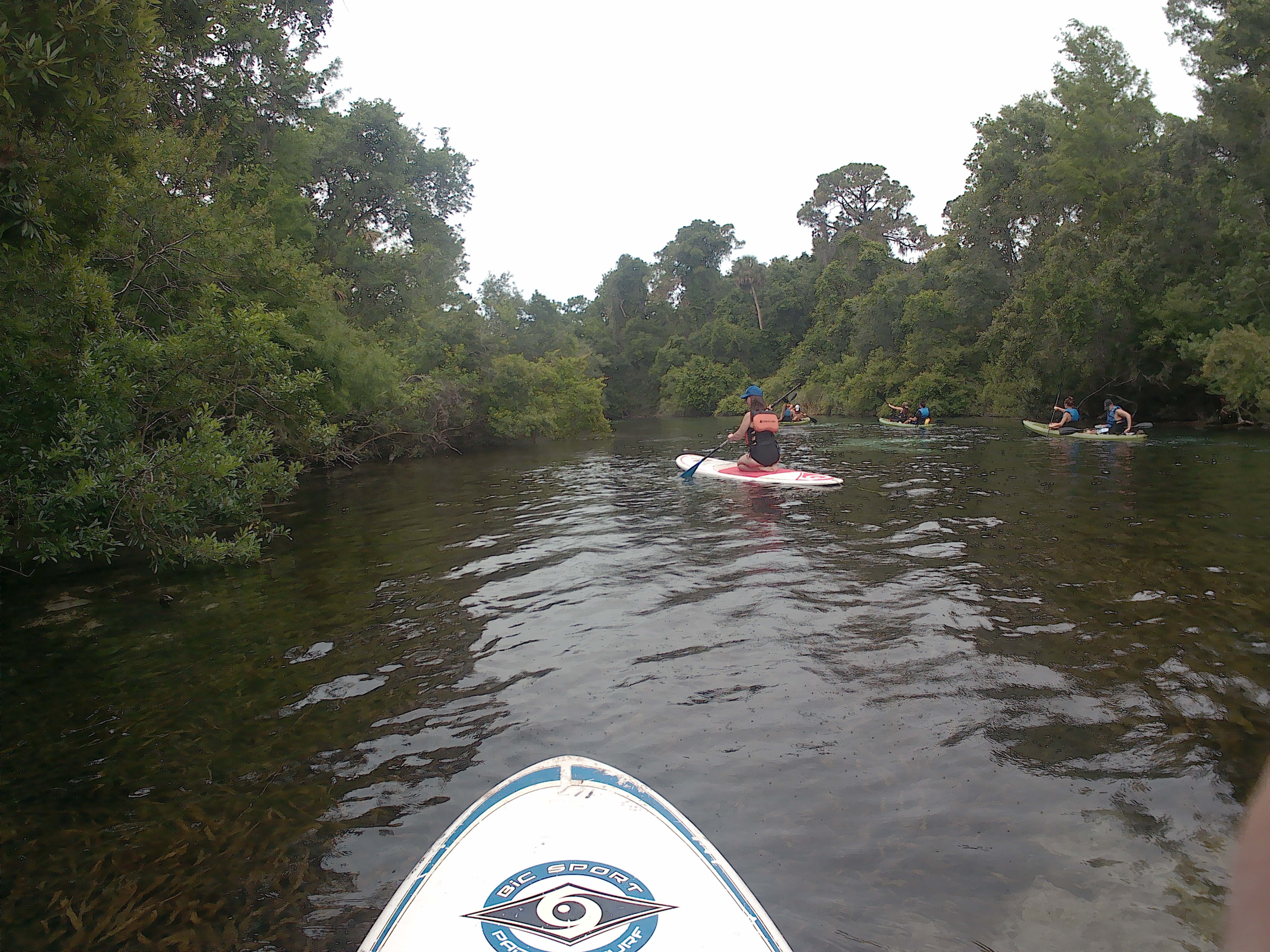 Alyssa paddles on the Weeki Wachee River