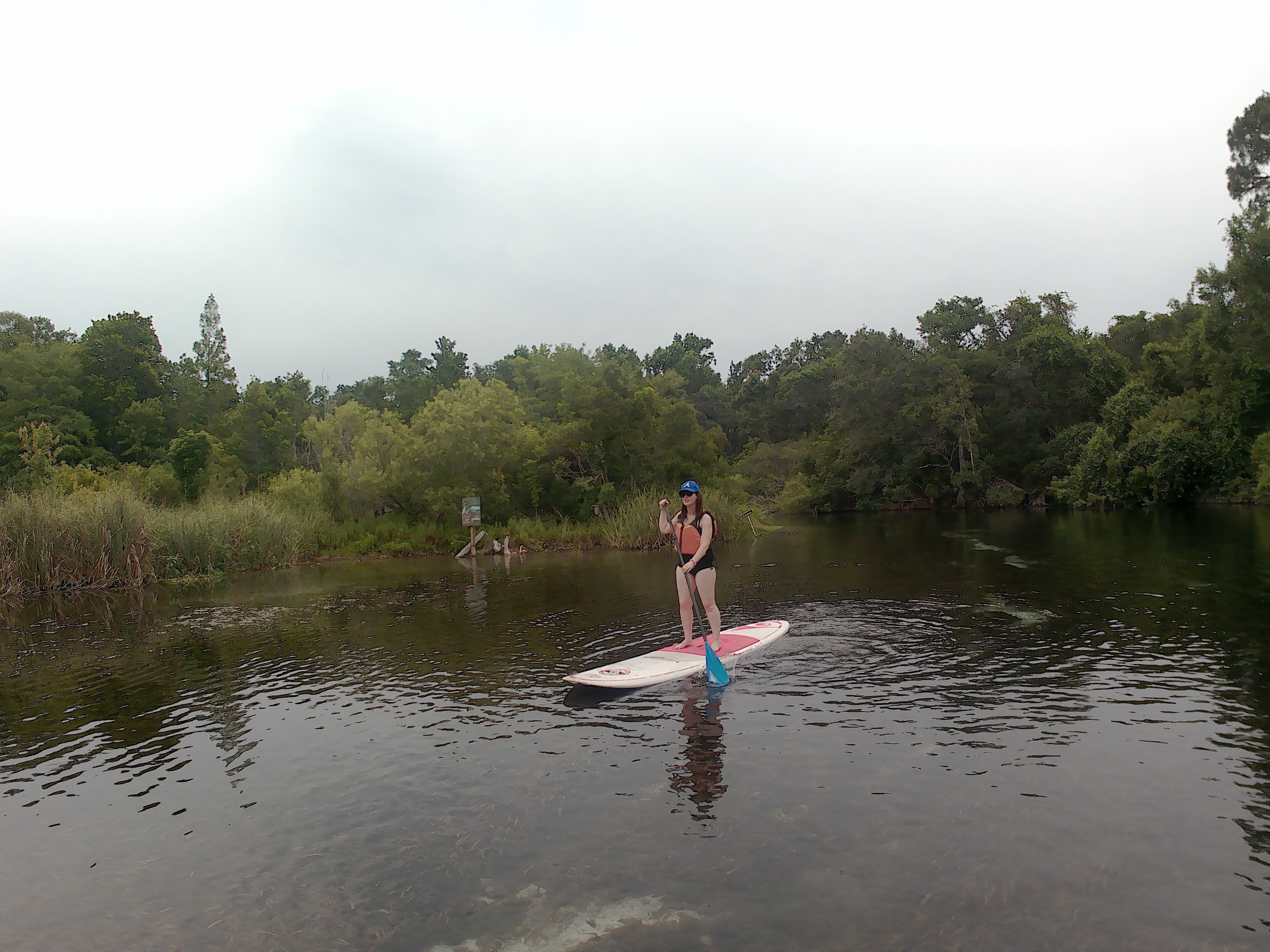 Alyssa paddles on the Weeki Wachee River