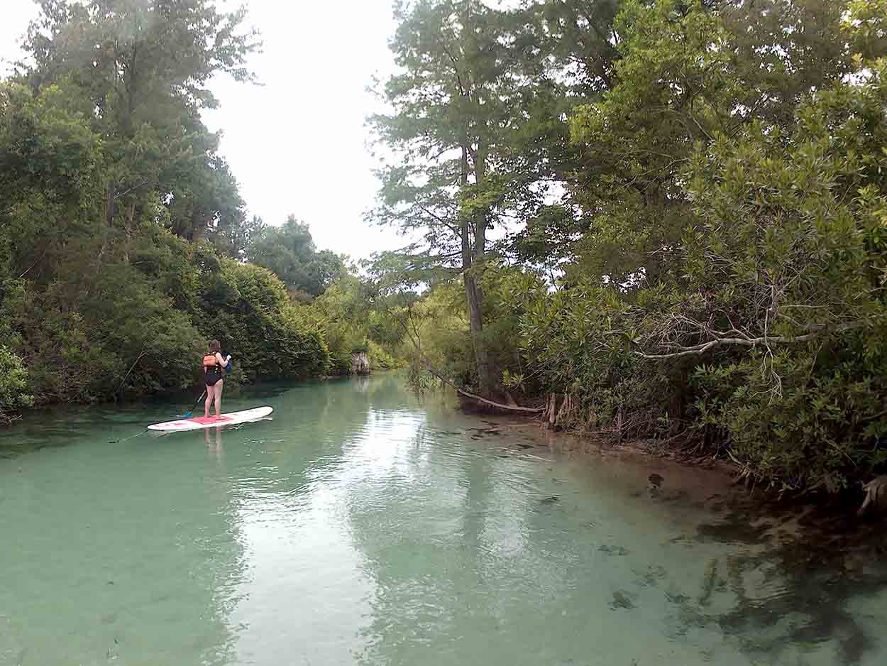 Alyssa paddles on the Weeki Wachee River