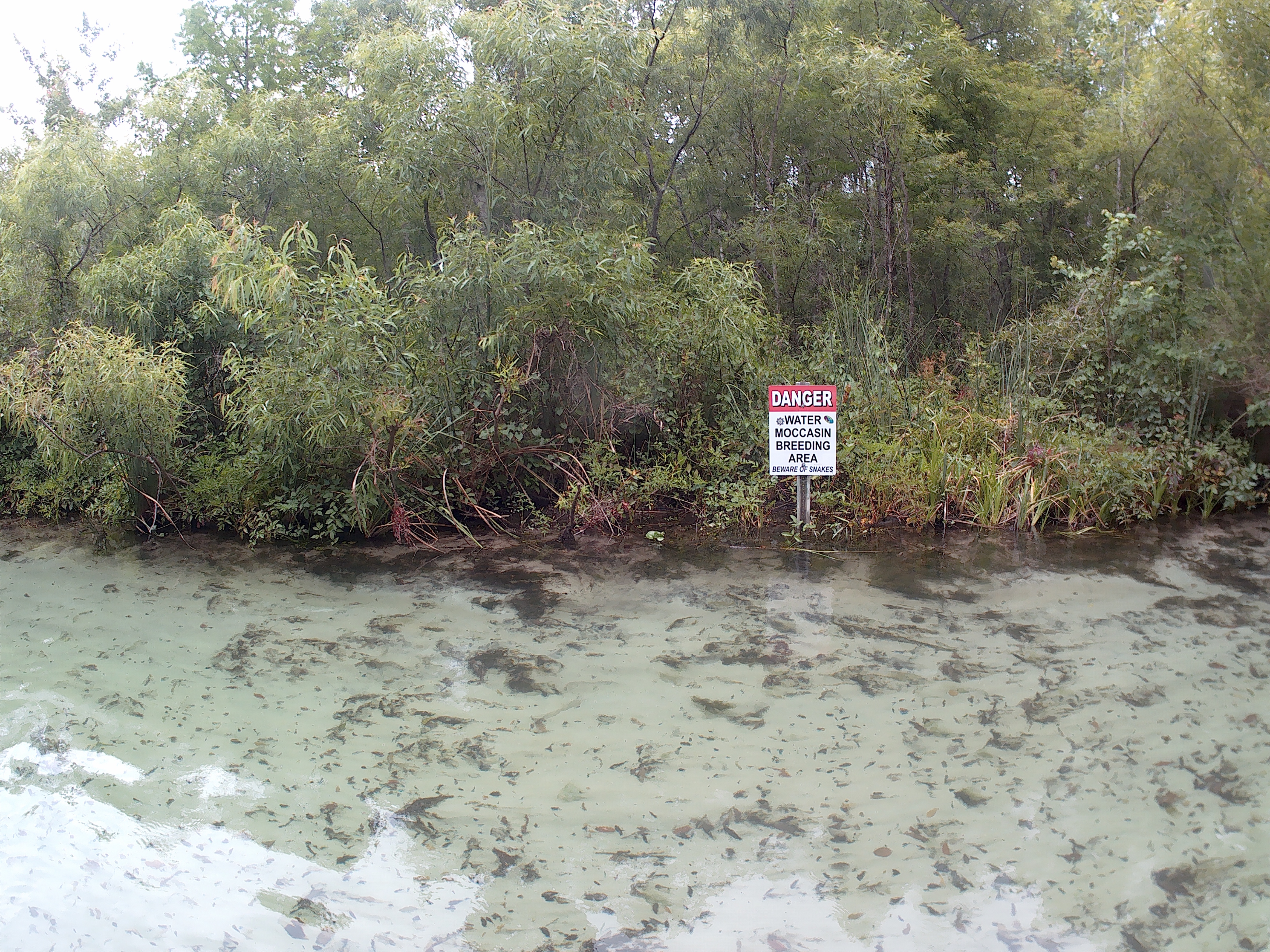 A sign that reads "Danger: Water moccasin area"