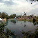 Underwater Enchantment: A Day with Real Mermaids at Florida’s Weeki Wachee Springs