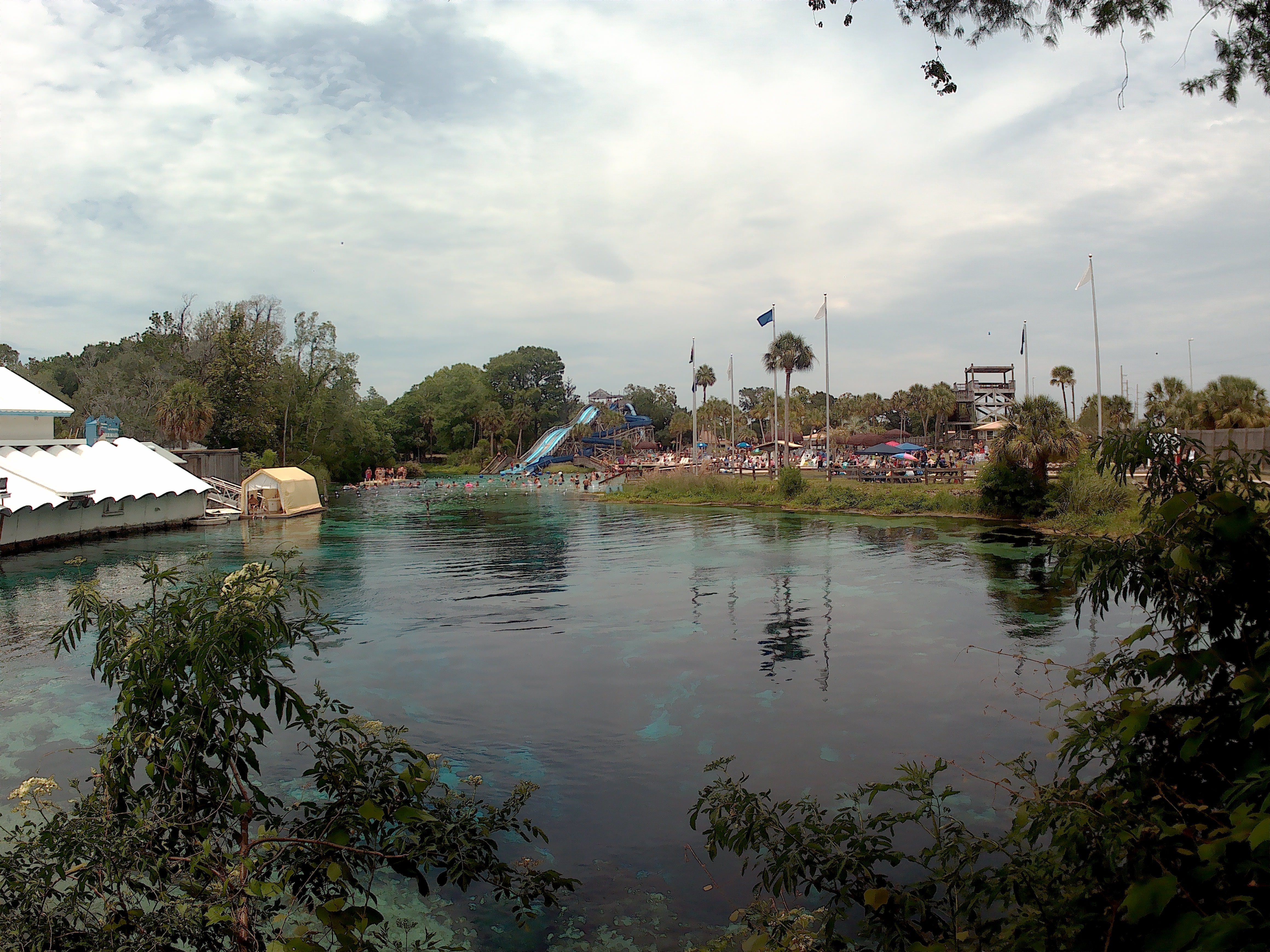 A wide view of the waterpark at Weeki Wachee