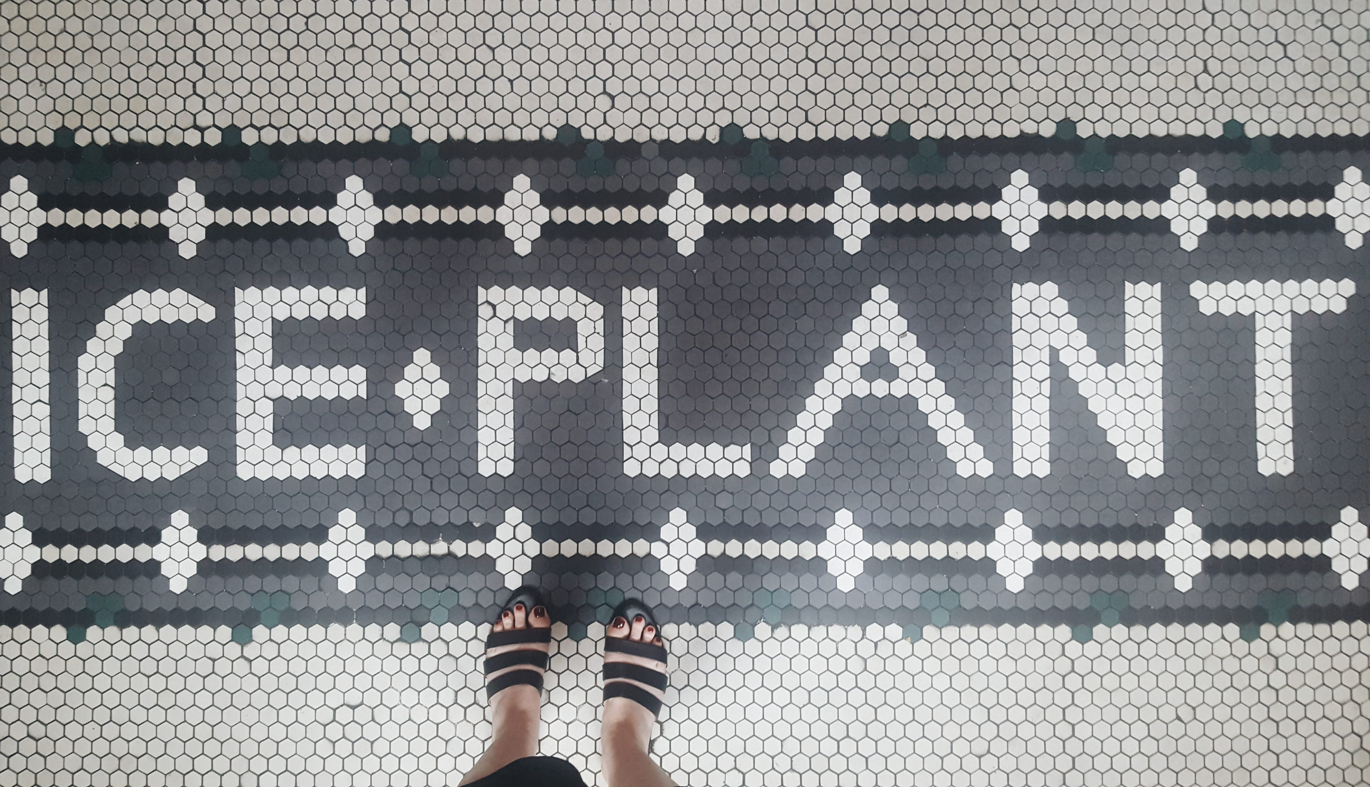 A mosaic tile floor reads Ice Plant