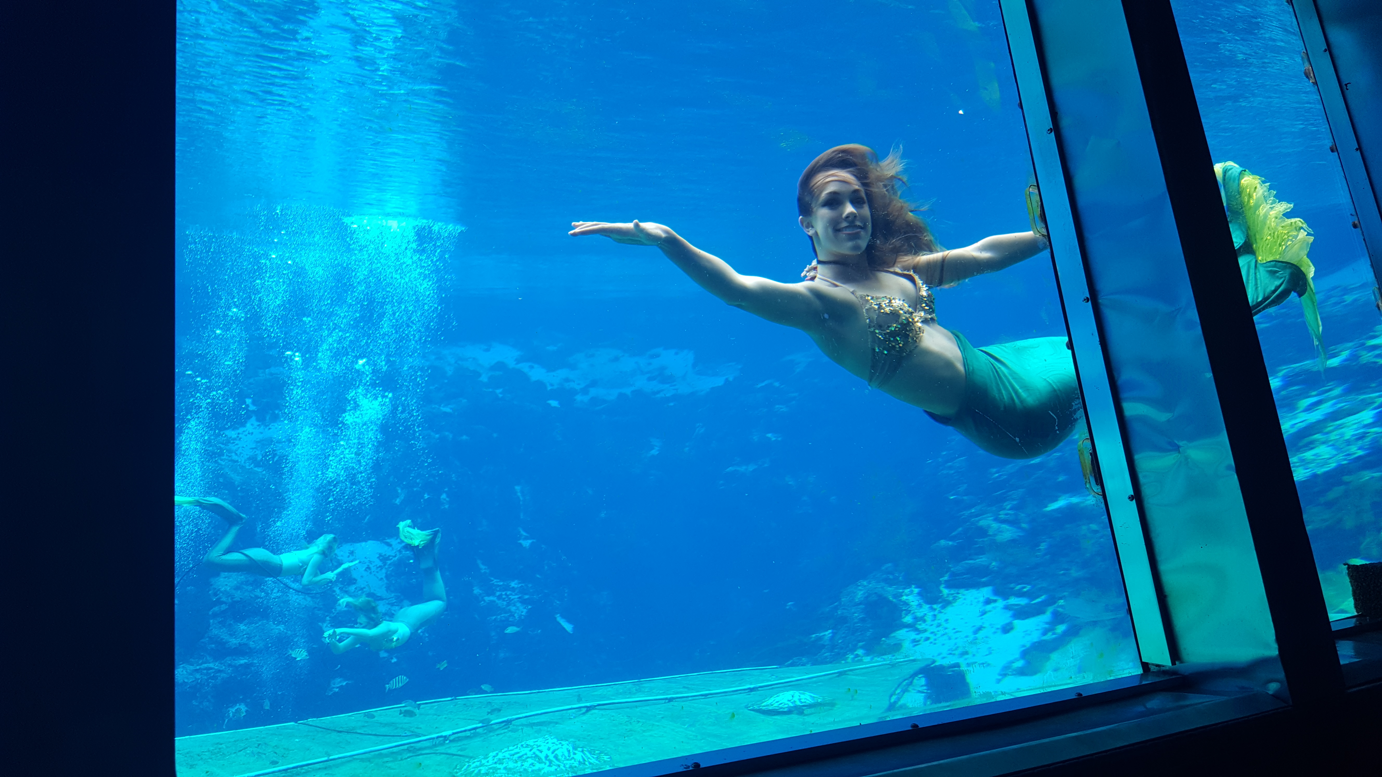 A mermaid swims in the tank at Weeki Wachee