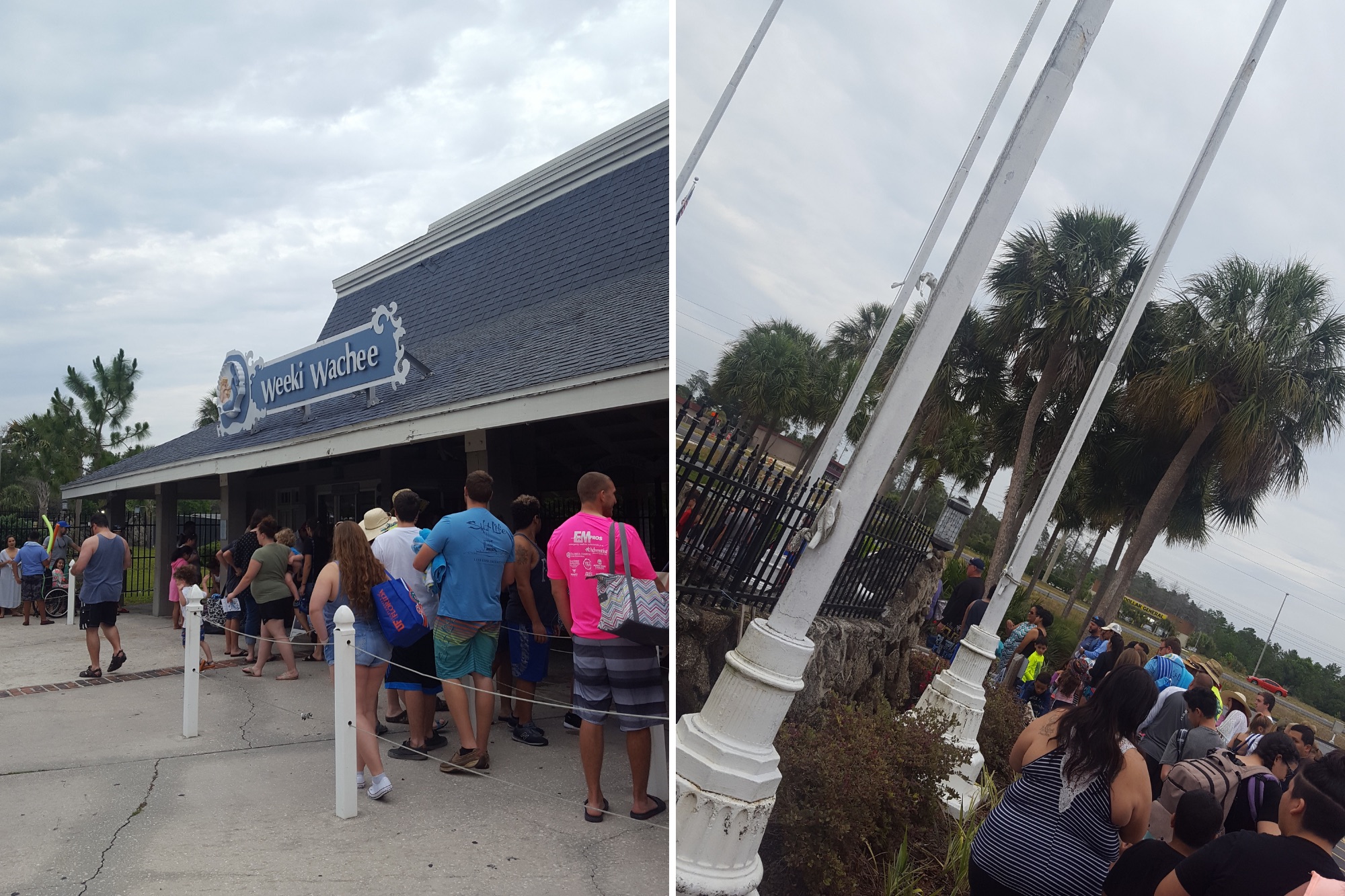 The line at the entrance to Weeki Wachee