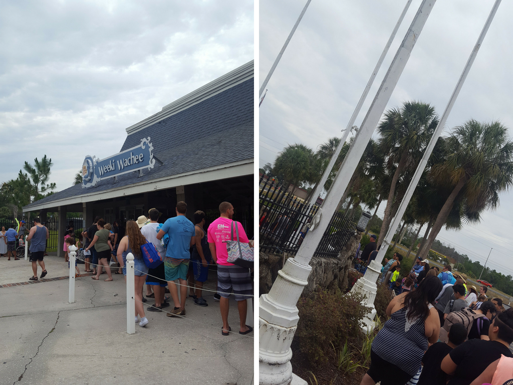 The line at the entrance to Weeki Wachee