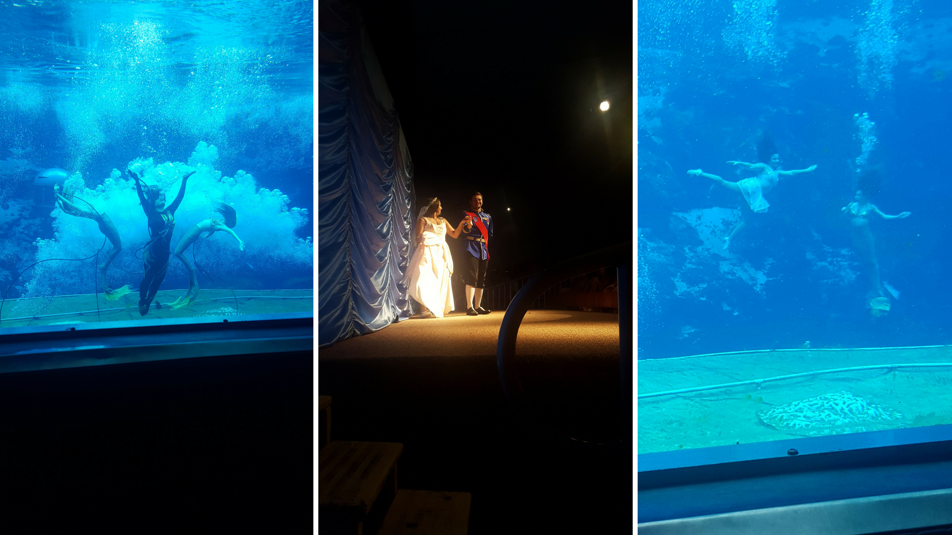 Photos of the Little Mermaid show at Weeki Wachee