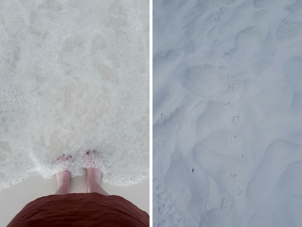 Alyssa's footprints and bird footprints in the sand